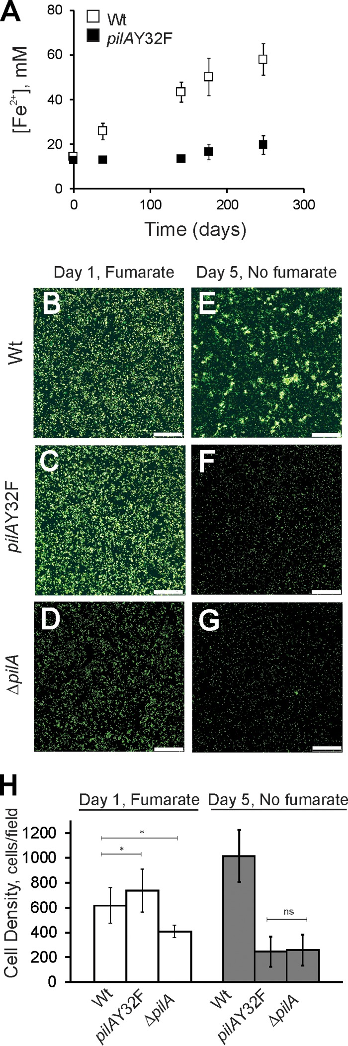 FIG 6