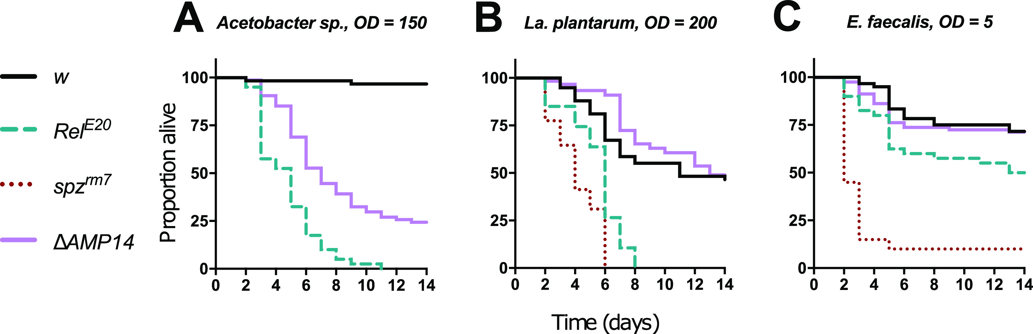 FIG 4