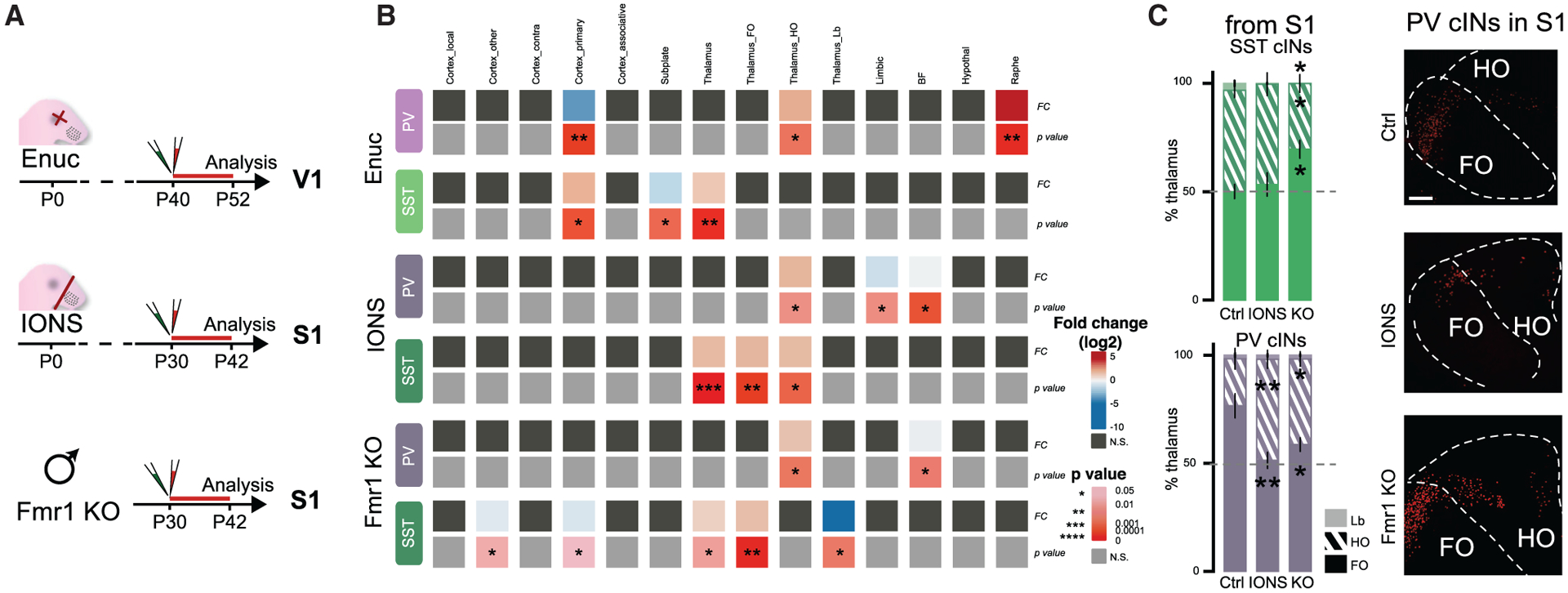 Figure 5.