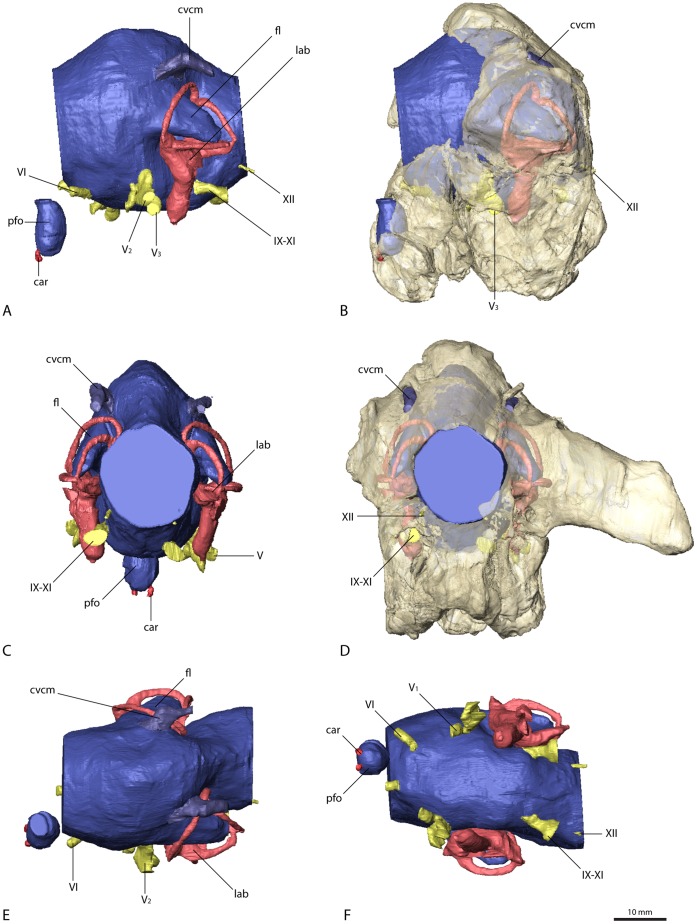 Figure 7