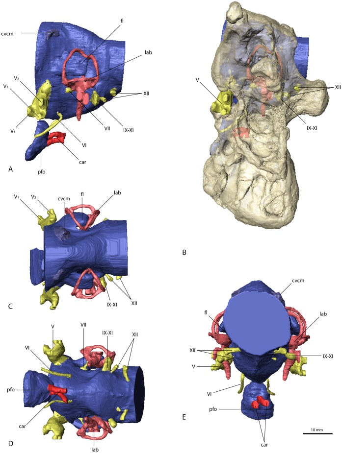 Figure 5