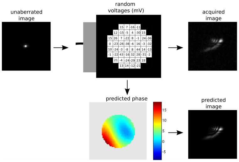 Fig. 13