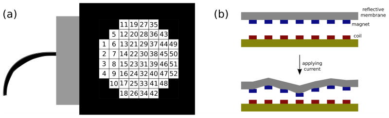 Fig. 2