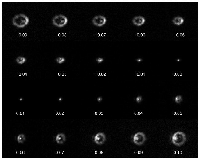 Fig. 3