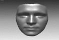 Fig. 8.