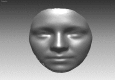 Fig. 9.