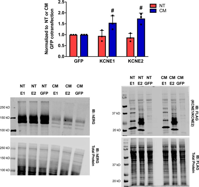 Figure 6.