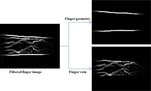 Figure 11.