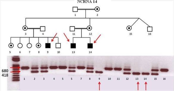 Figure 10