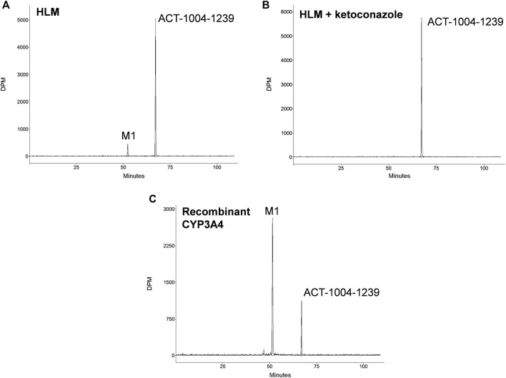 FIGURE 1