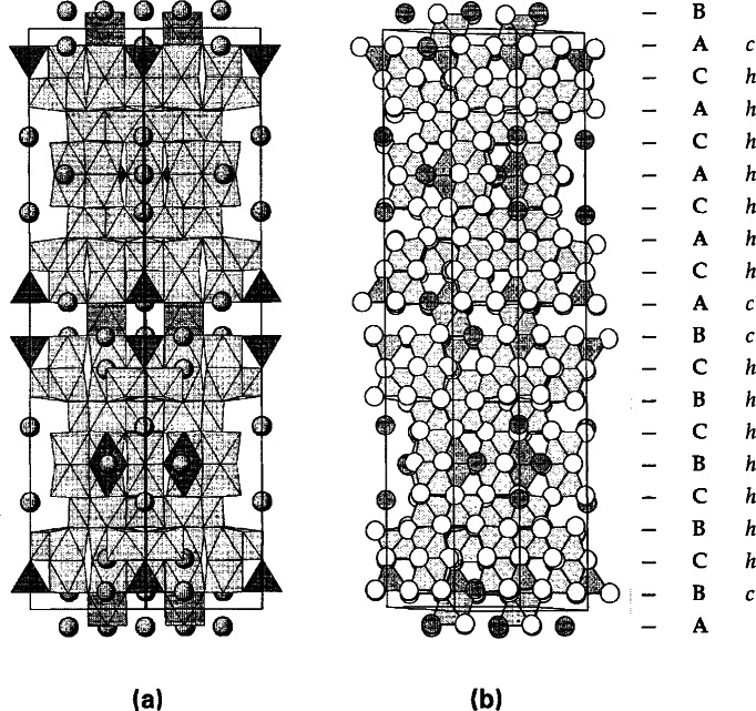 Fig. 17