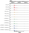 Figure 5—figure supplement 1.