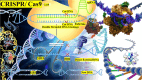 Graphical Abstract