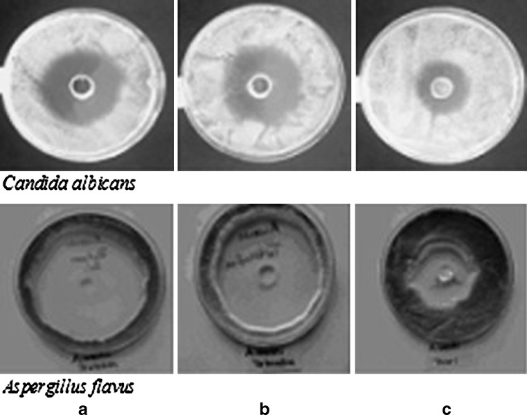 Fig. 3