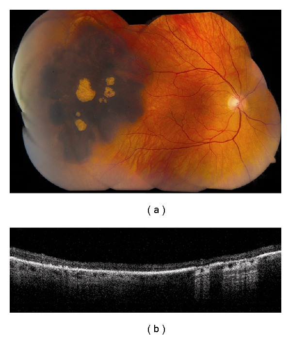 Figure 7