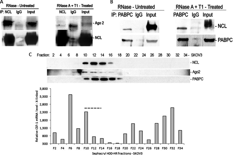 Fig. 8.