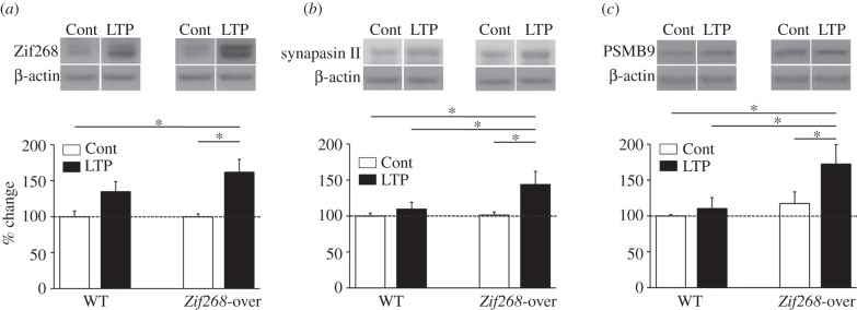 Figure 4.