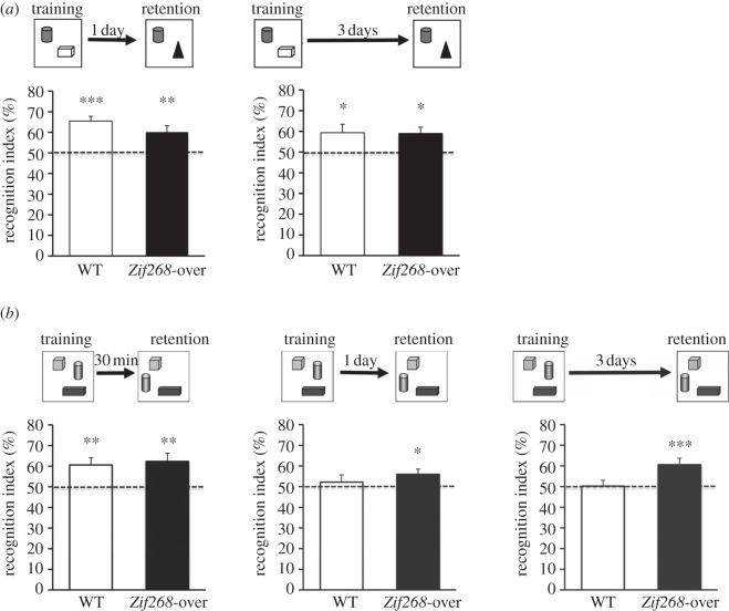 Figure 2.