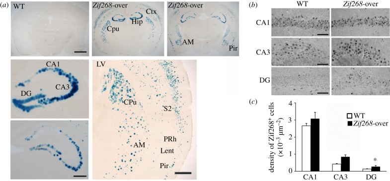 Figure 1.