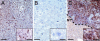 Fig. 5.