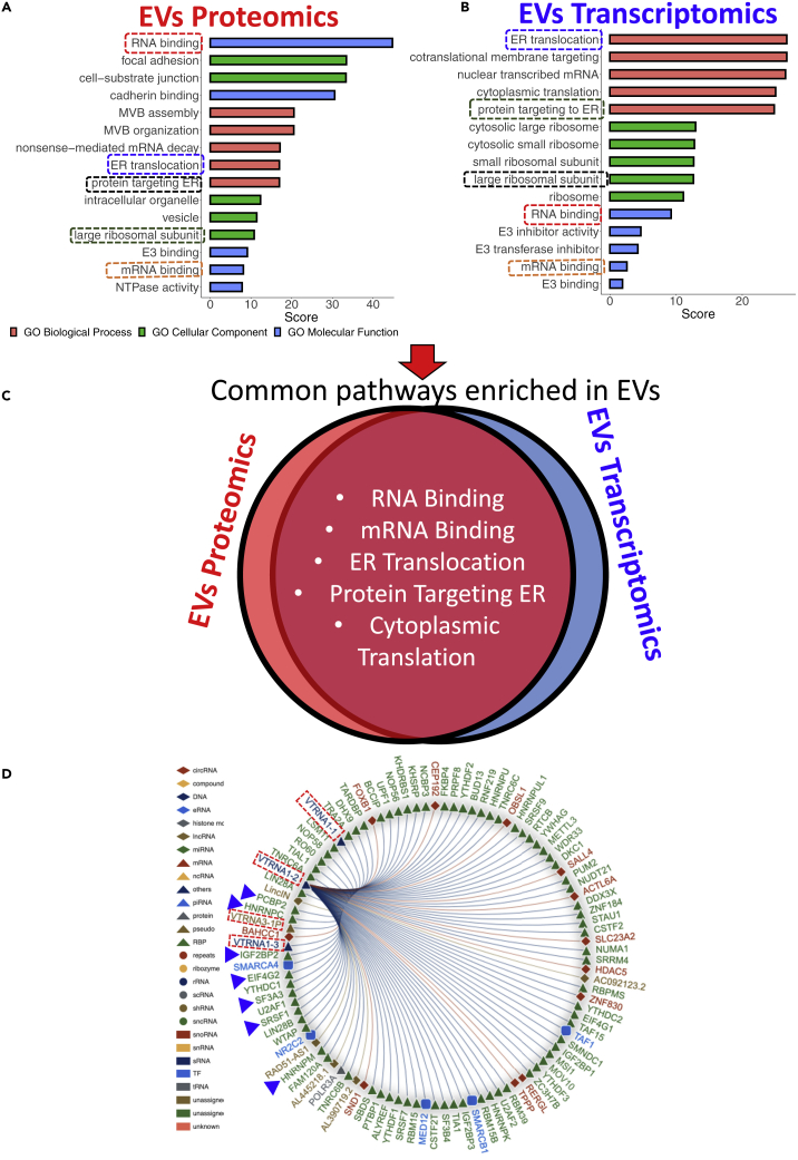 Figure 6