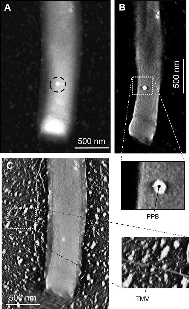 Fig. 4