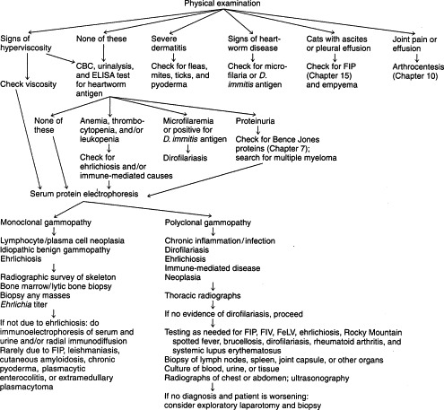 FIGURE 12-4