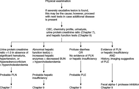 FIGURE 12-1