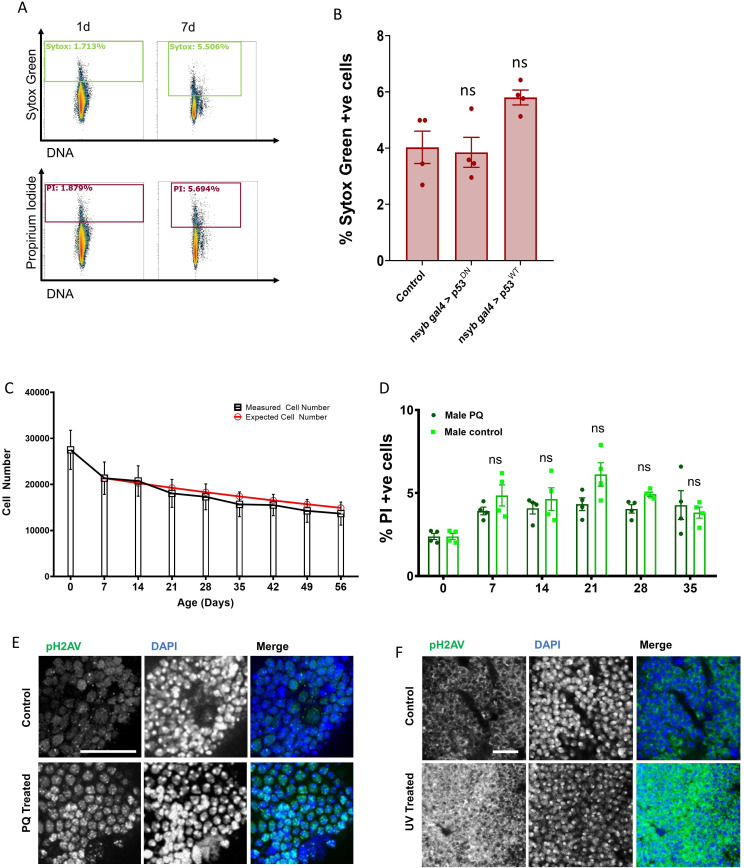 Figure 6—figure supplement 1.