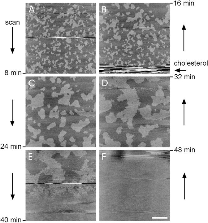 FIGURE 3