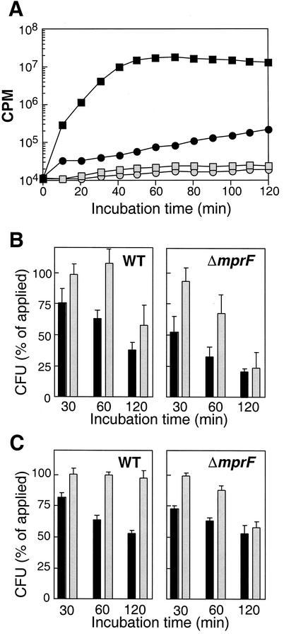 FIG. 2.