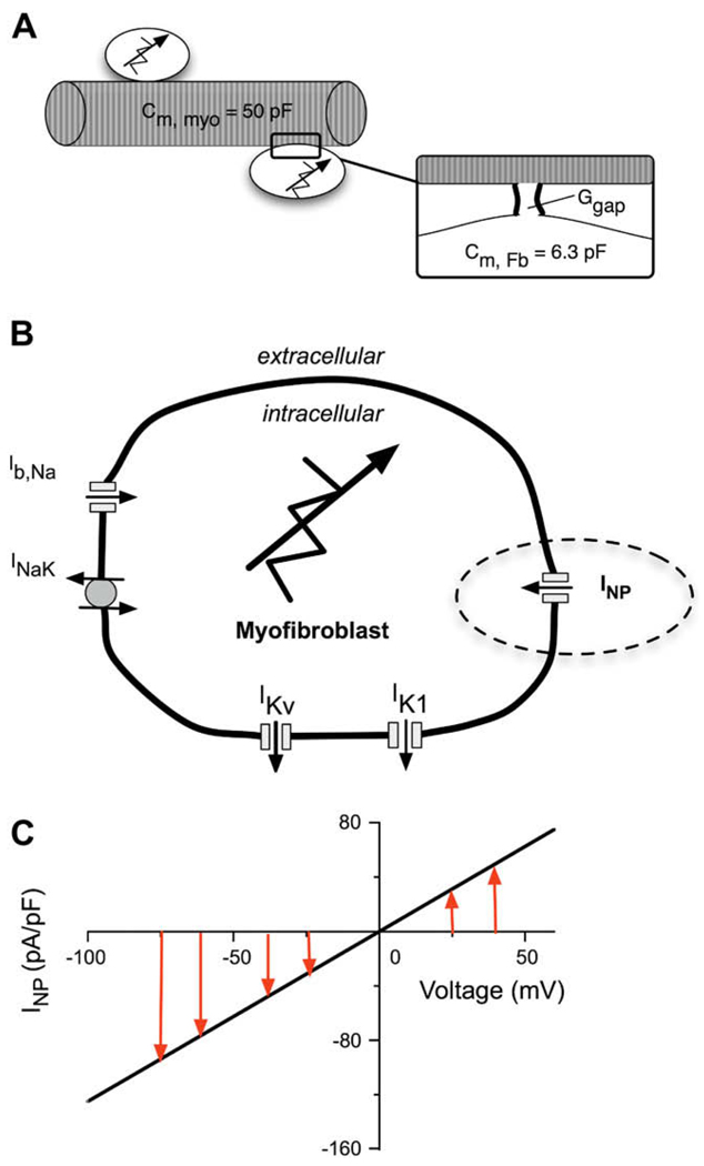 Fig. 2