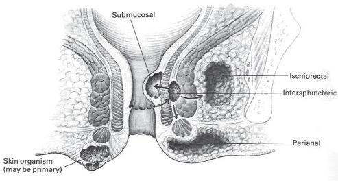 Figure 1)