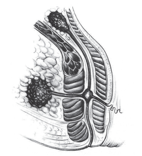 Figure 2)