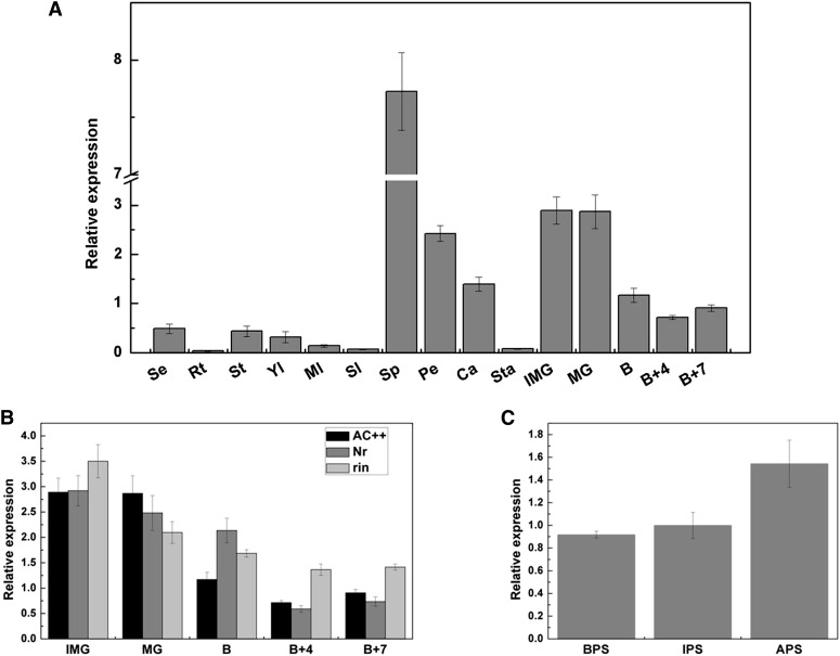 Figure 1.