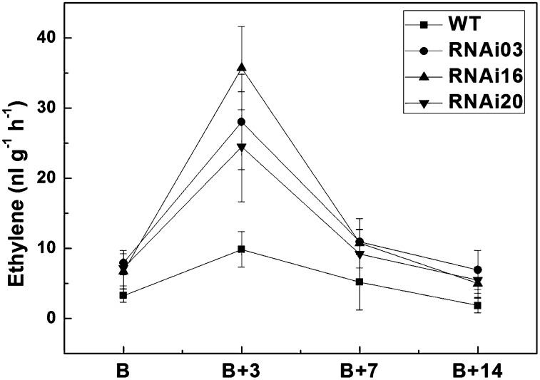 Figure 5.