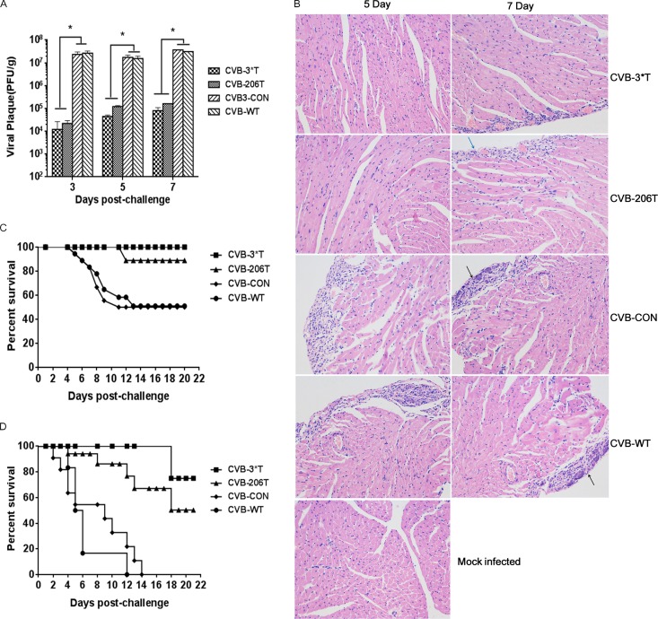 FIG 4