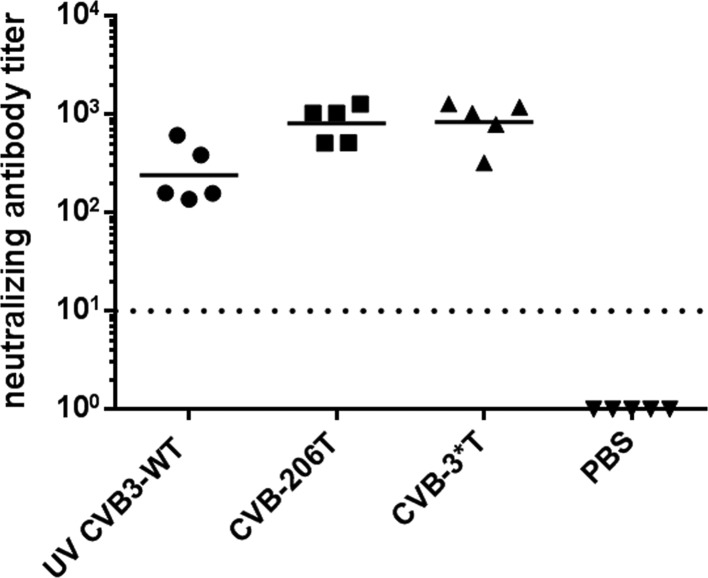 FIG 5