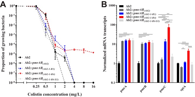 FIG 2