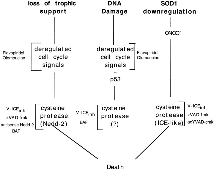 Fig. 9.