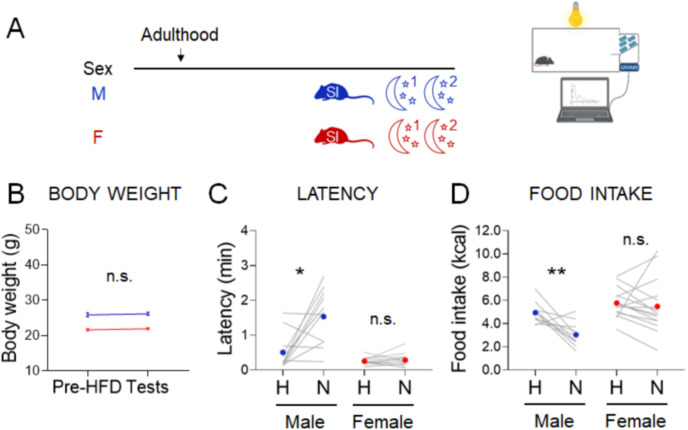 Figure 5—figure supplement 1.