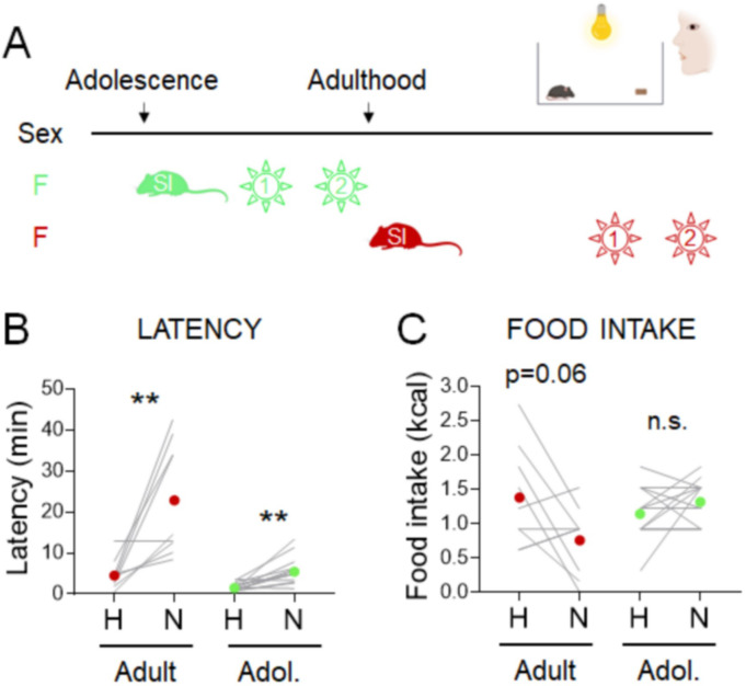 Figure 3—figure supplement 1.