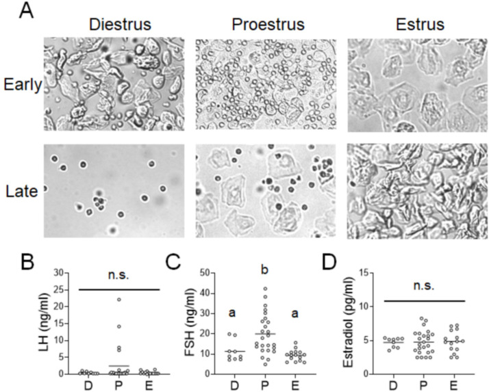 Figure 1—figure supplement 1.