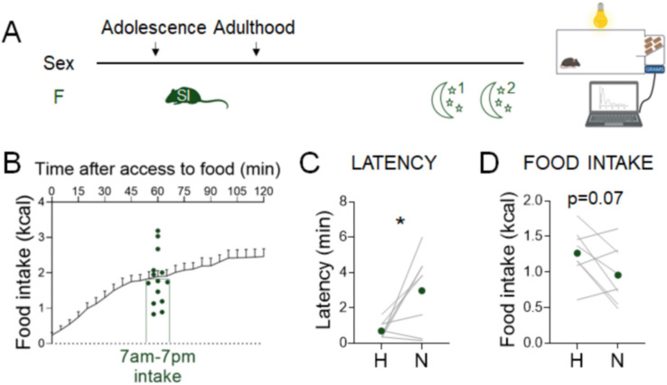 Figure 4—figure supplement 2