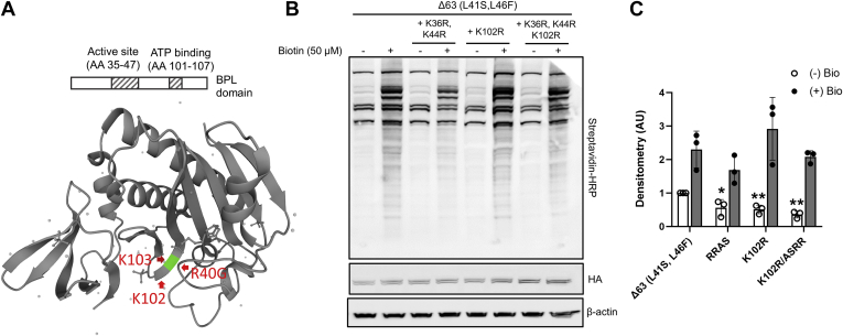 Fig. 4