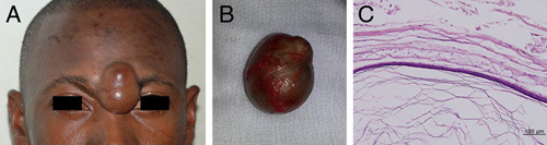 FIGURE 3