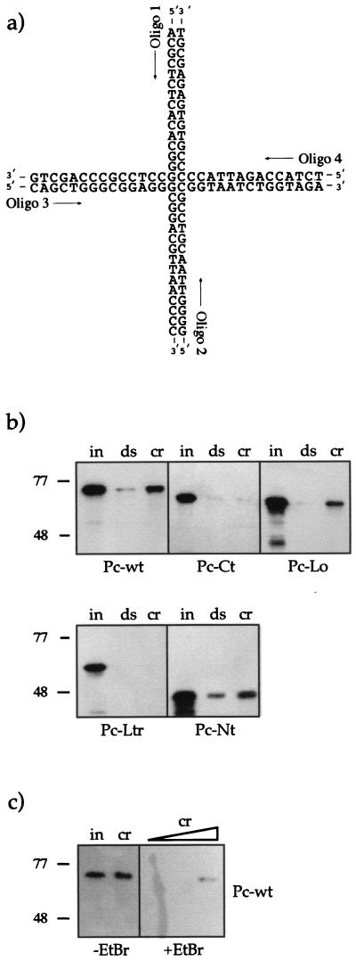 FIG. 7