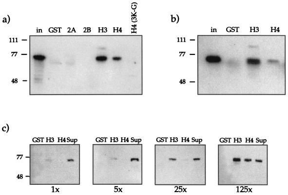 FIG. 5