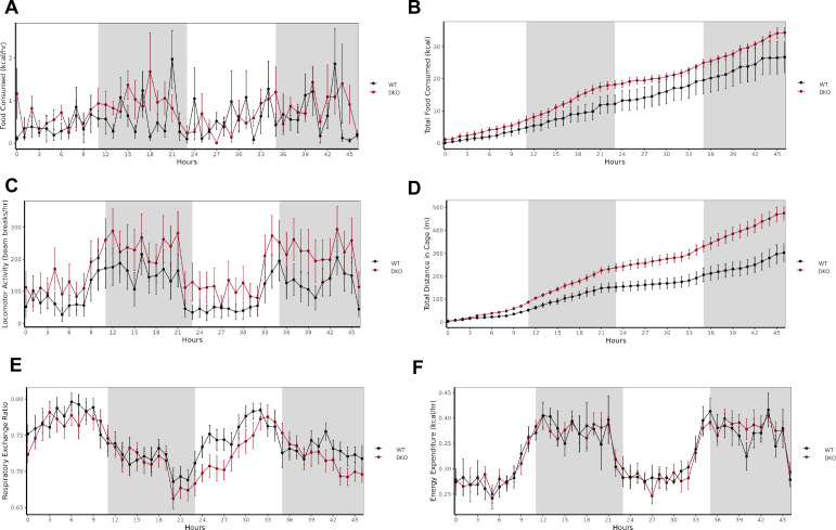 Figure 4—figure supplement 1.