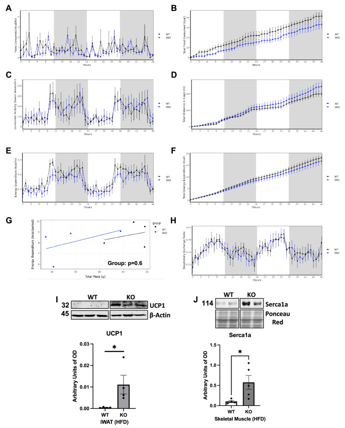 Figure 6—figure supplement 1.